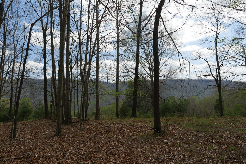 4020 Freestone Valley Road Tannersville, VA 24377 - Photo 89 of 109 Gallery Image 89