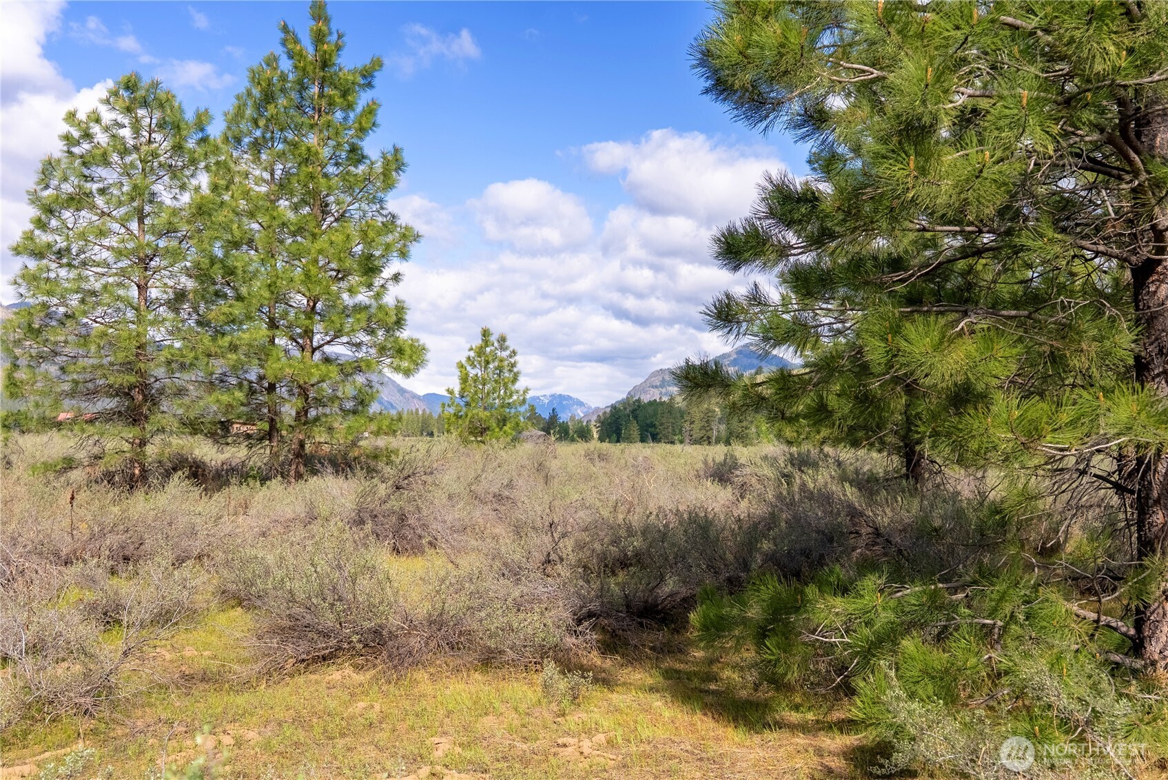 0 Wolf Creek Road Winthrop, WA 98862 - Photo 17 of 40 a view of a lush green forest with lawn chairs
