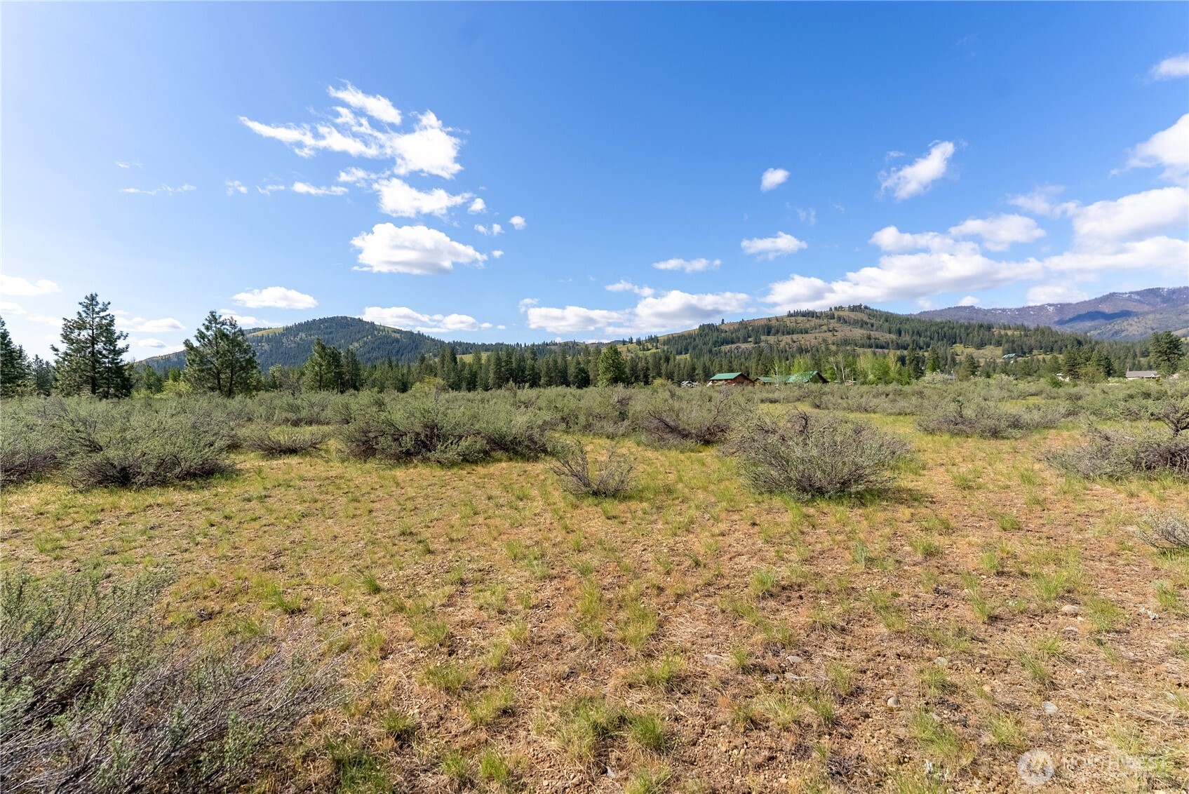 0 Wolf Creek Road Winthrop, WA 98862 - Photo 18 of 40 a view of a big yard with lots of green space
