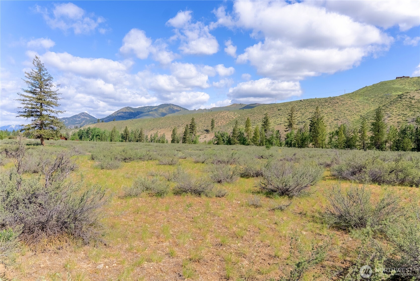 0 Wolf Creek Road Winthrop, WA 98862 - Photo 20 of 40 a view of a large yard with lots of green space