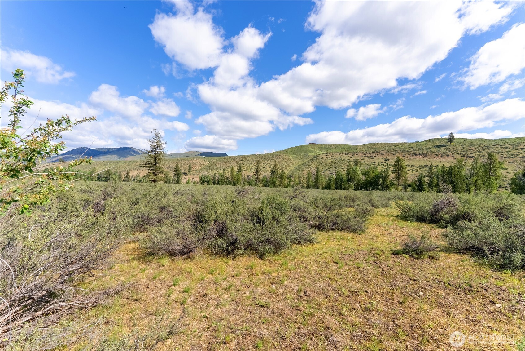 0 Wolf Creek Road Winthrop, WA 98862 - Photo 21 of 40 a view of a yard