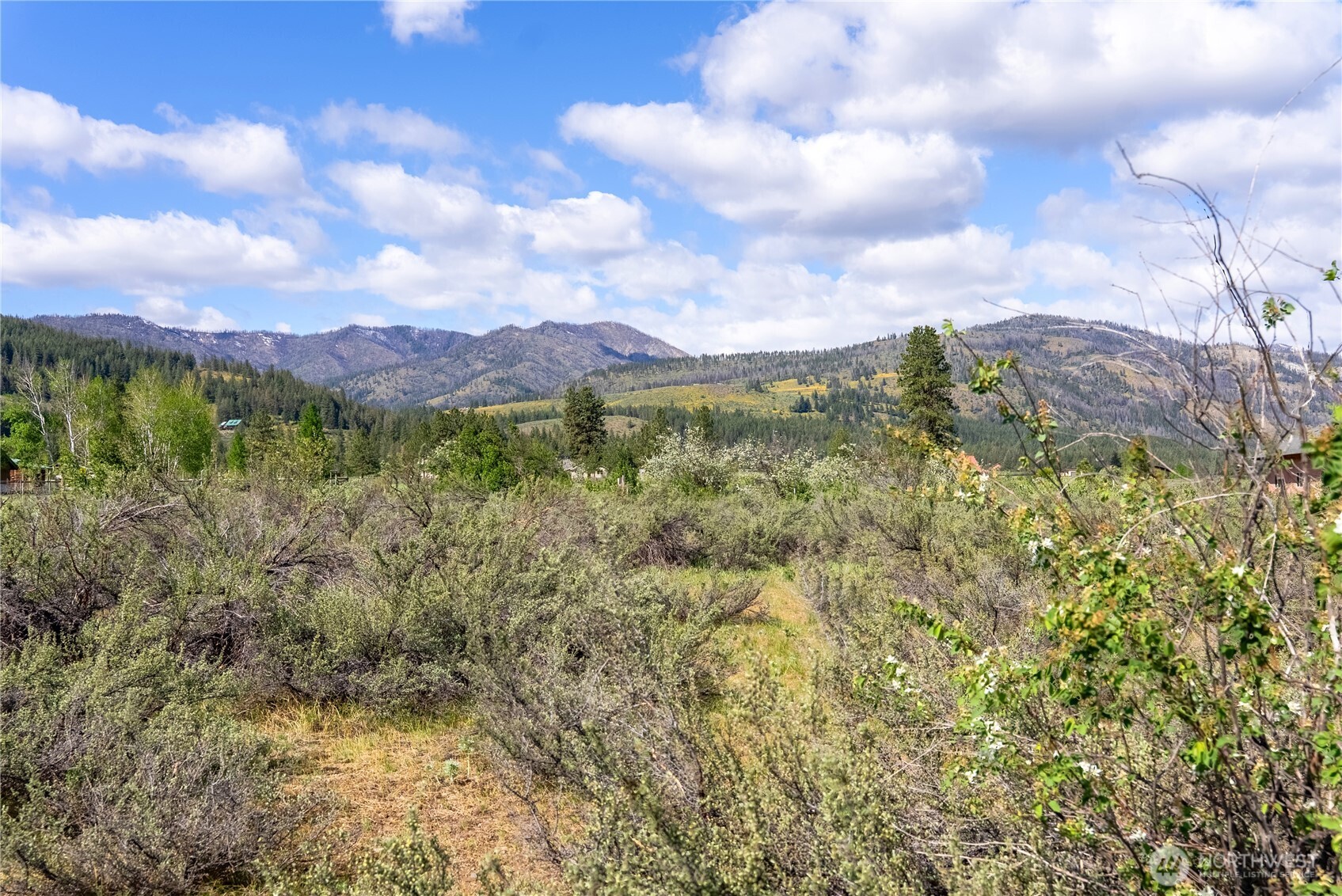 0 Wolf Creek Road Winthrop, WA 98862 - Photo 22 of 40 a view of a city with lush green forest