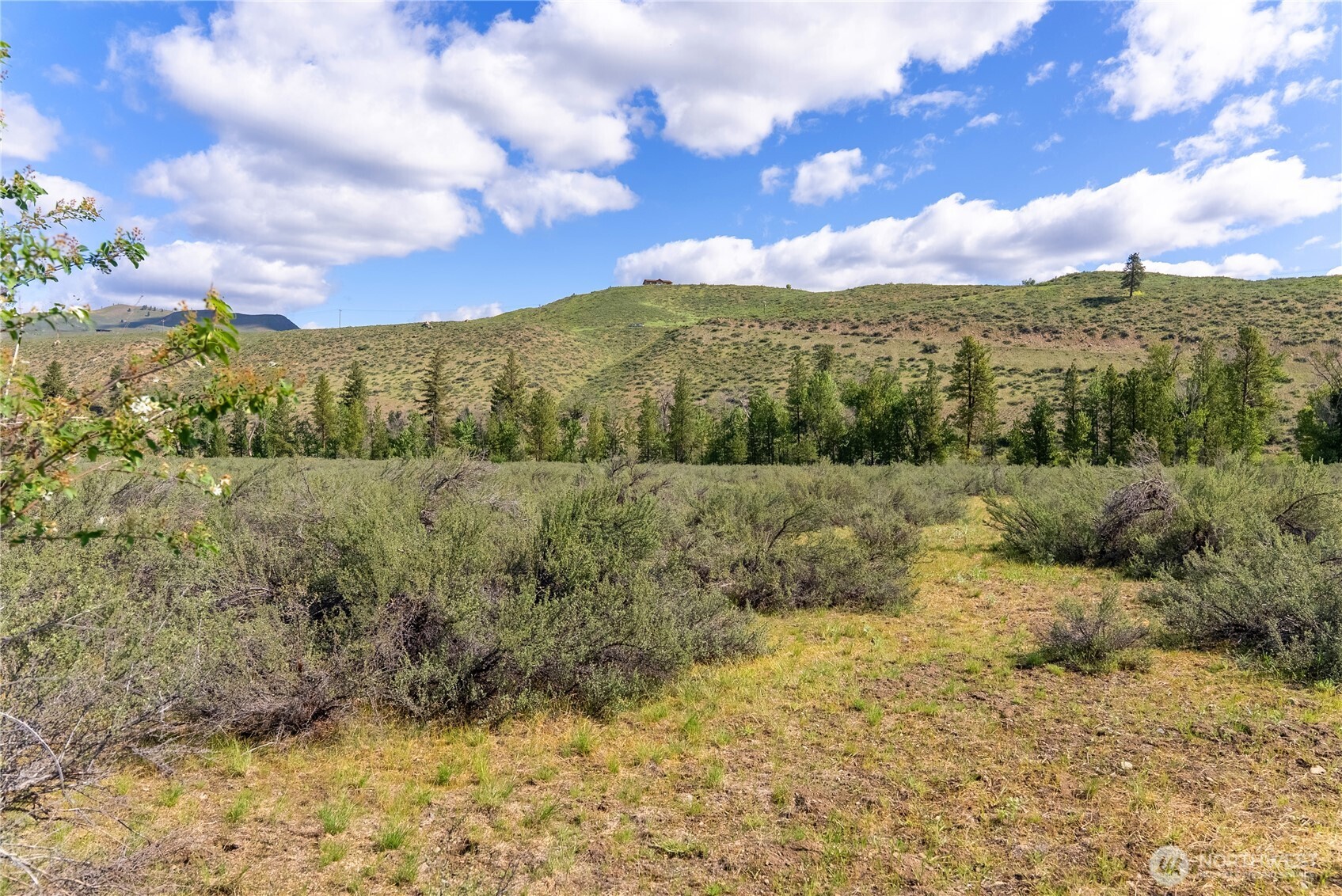 0 Wolf Creek Road Winthrop, WA 98862 - Photo 23 of 40 a view of a bunch of mountains and valleys