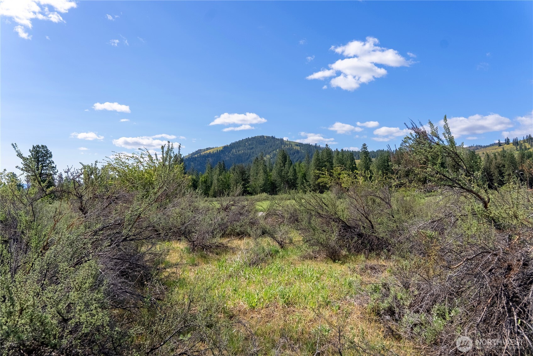 0 Wolf Creek Road Winthrop, WA 98862 - Photo 24 of 40 a view of a house with a big yard