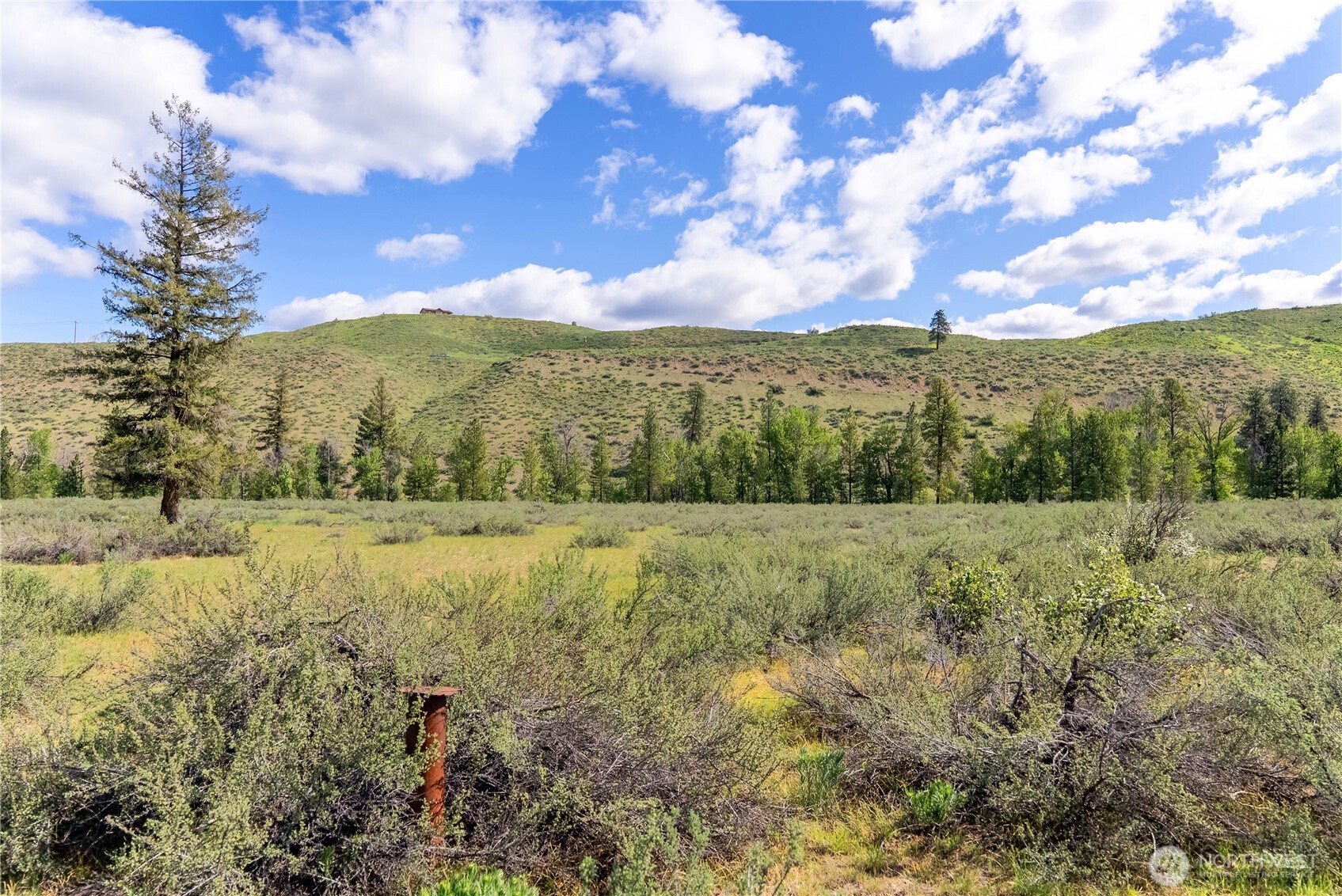 0 Wolf Creek Road Winthrop, WA 98862 - Photo 25 of 40 a view of lake with mountain