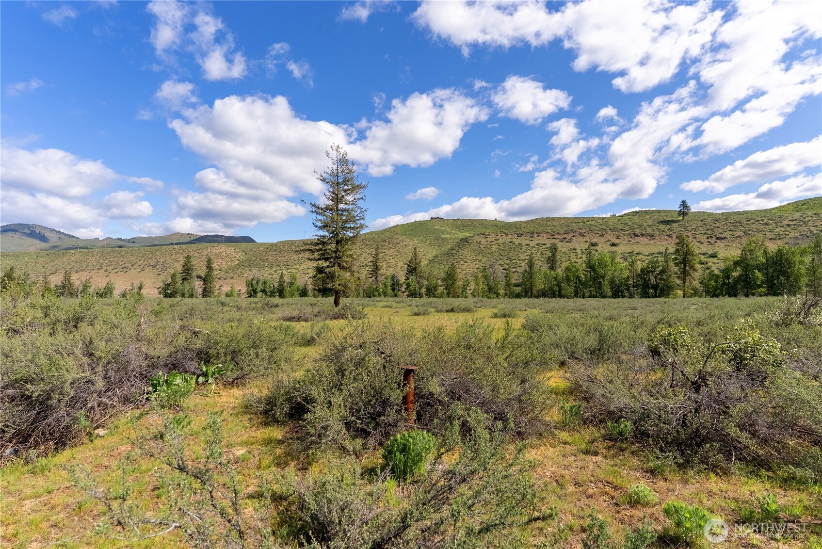 0 Wolf Creek Road Winthrop, WA 98862 - Photo 26 of 40