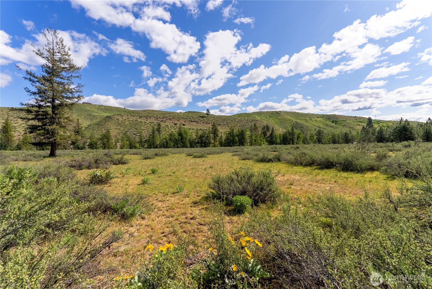 0 Wolf Creek Road Winthrop, WA 98862 - Photo 27 of 40 a view of lake with mountain