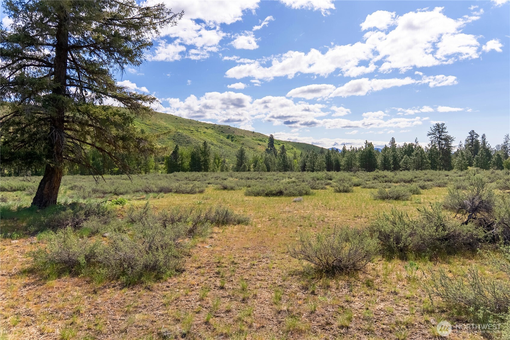 0 Wolf Creek Road Winthrop, WA 98862 - Photo 28 of 40 a view of a field with an trees