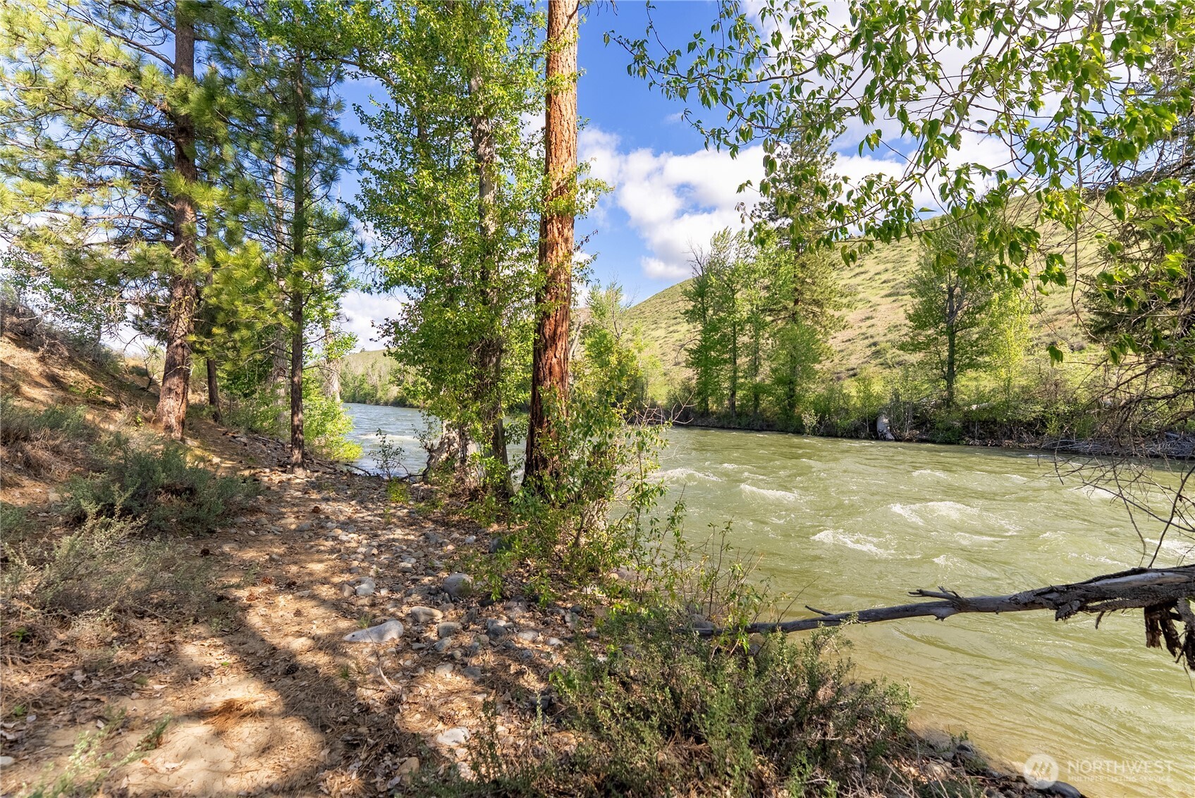 0 Wolf Creek Road Winthrop, WA 98862 - Photo 30 of 40 a view of a yard with trees