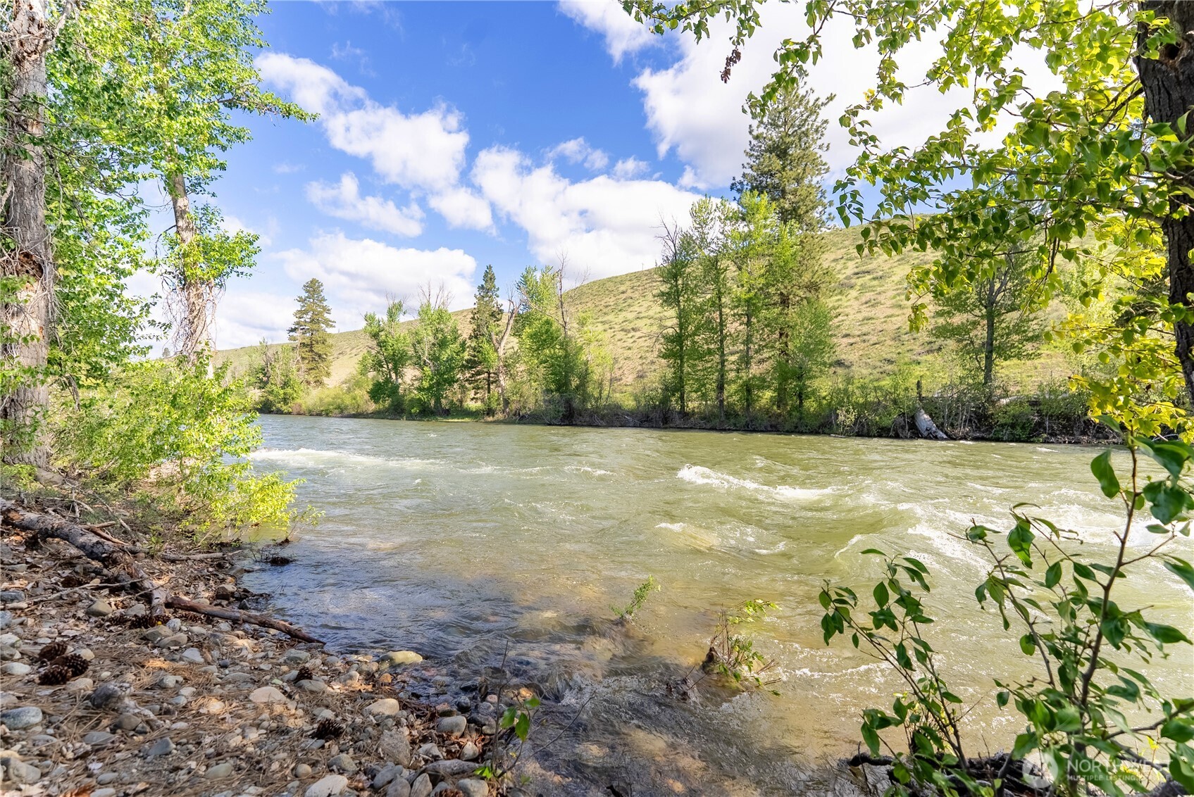 0 Wolf Creek Road Winthrop, WA 98862 - Photo 31 of 40 a view of a yard with an trees
