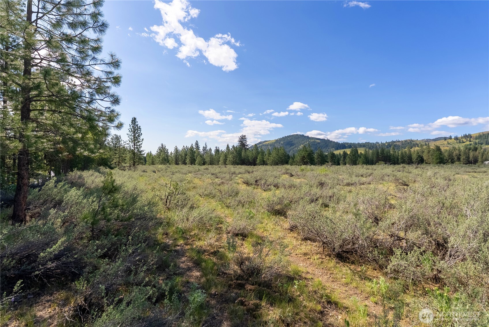 0 Wolf Creek Road Winthrop, WA 98862 - Photo 36 of 40 a view of a yard with an outdoor space