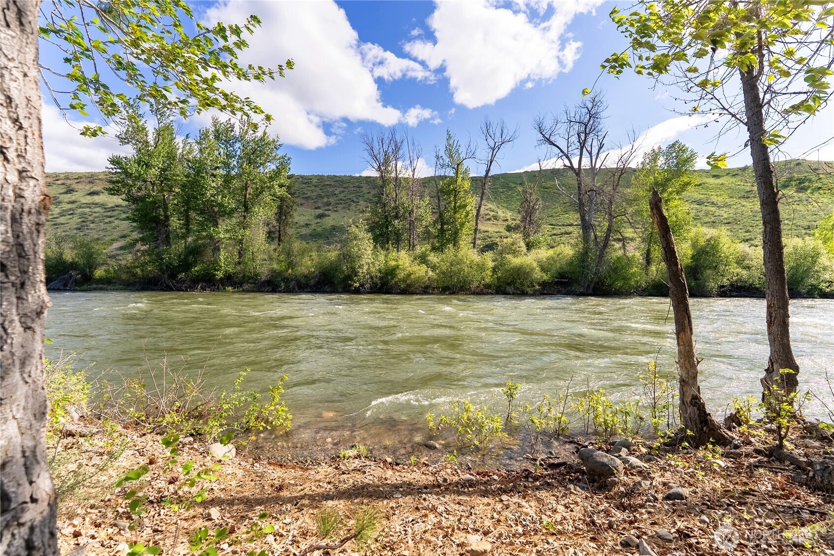 0 Wolf Creek Road Winthrop, WA 98862 - Photo 39 of 40 a view of a yard with an trees