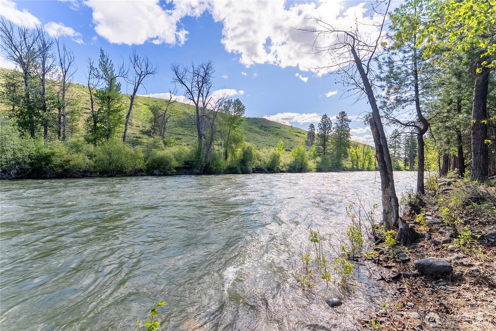 0 Wolf Creek Road Winthrop, WA 98862 - Photo 40 of 40 a view of a yard with plants and trees