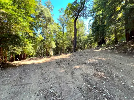 a view of outdoor space and trees