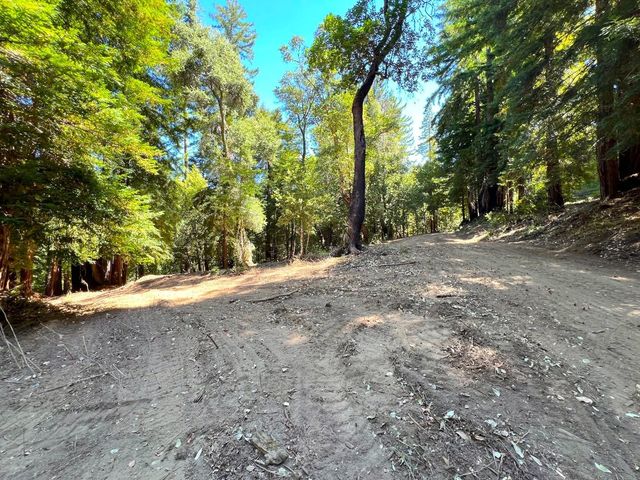 a view of outdoor space and trees