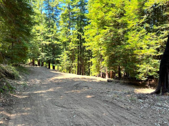 a view of outdoor space and trees