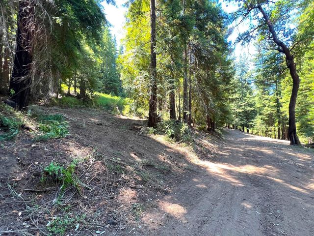 a view of dirt yard with a large tree