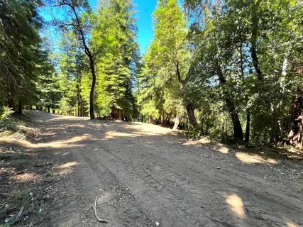 a view of dirt yard with a trees