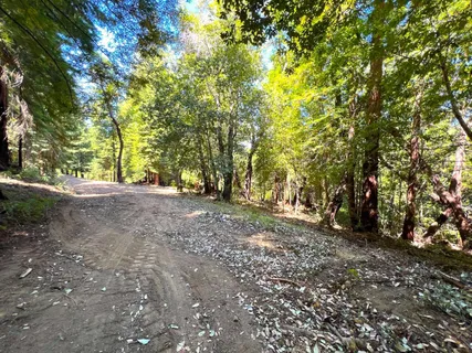 a view of outdoor space with trees