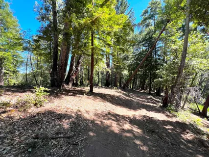 a view of outdoor space with trees