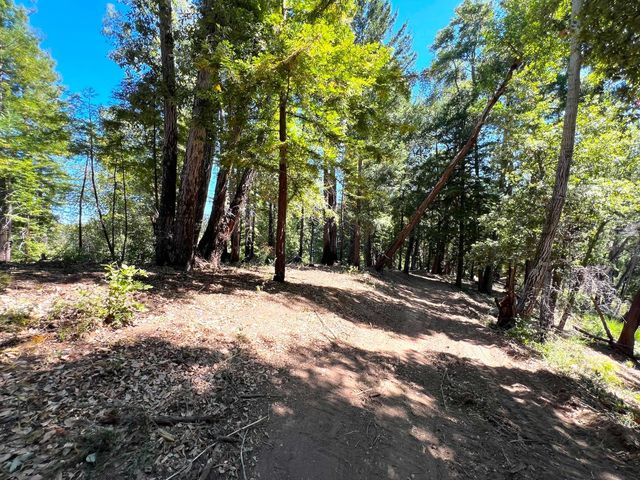 a view of outdoor space with trees