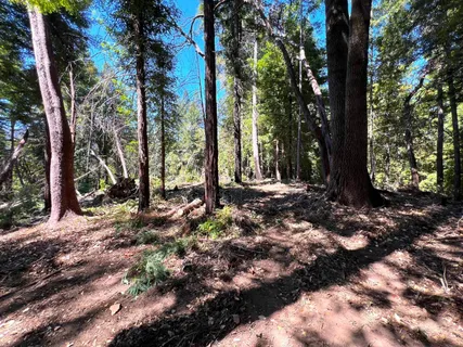 a view of road with trees