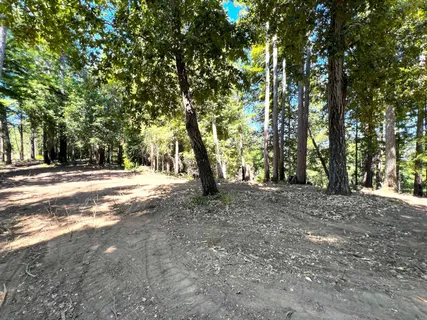 a view of road with trees