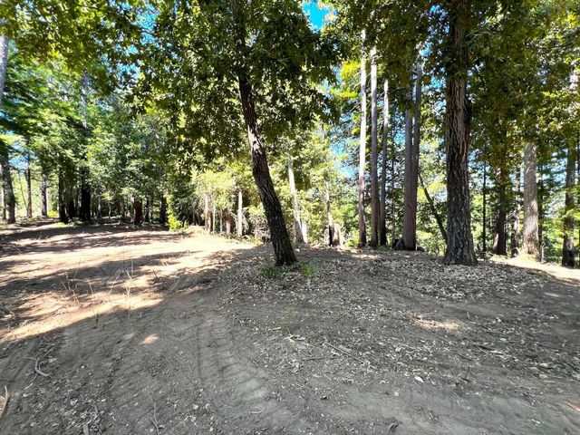 a view of road with trees