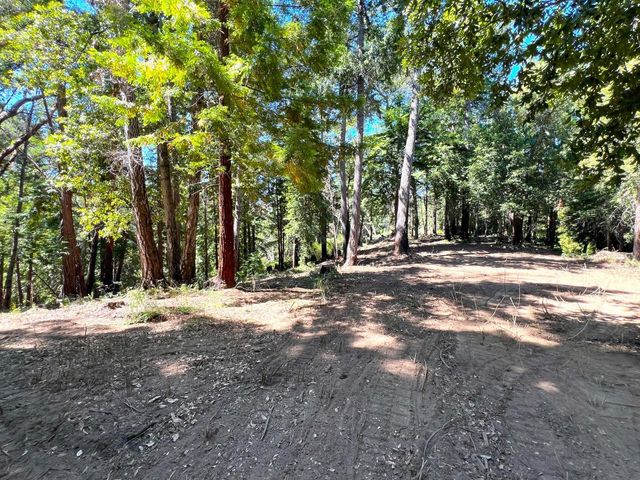 a view of outdoor space with trees