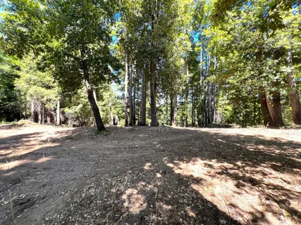 a view of outdoor space with trees