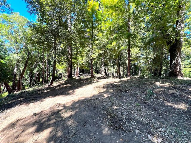 a view of outdoor space with deck and tree