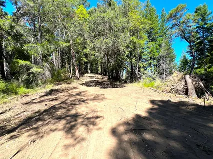 a view of outdoor space with trees