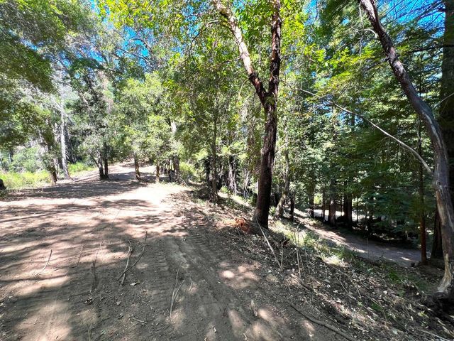 a view of outdoor space with trees