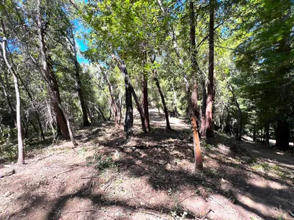 a view of a field with trees in the background