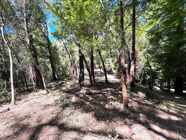 a view of a field with trees in the background