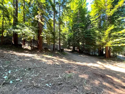 a view of backyard with green space