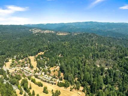 a view of a lush green forest with mountains in the background