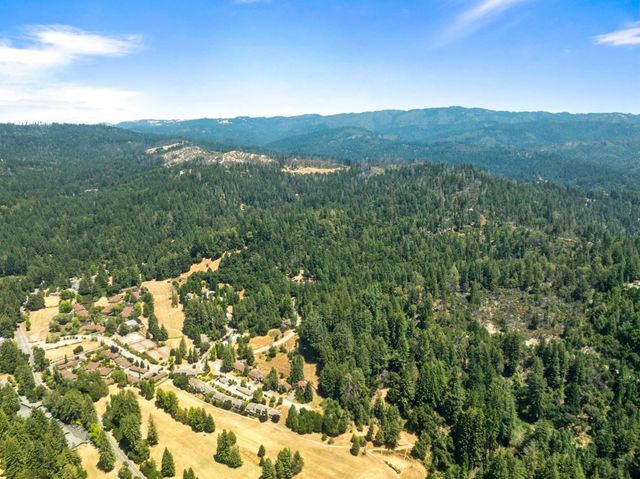a view of a lush green forest with mountains in the background