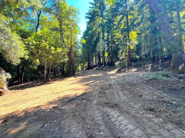 a view of a yard with a tree