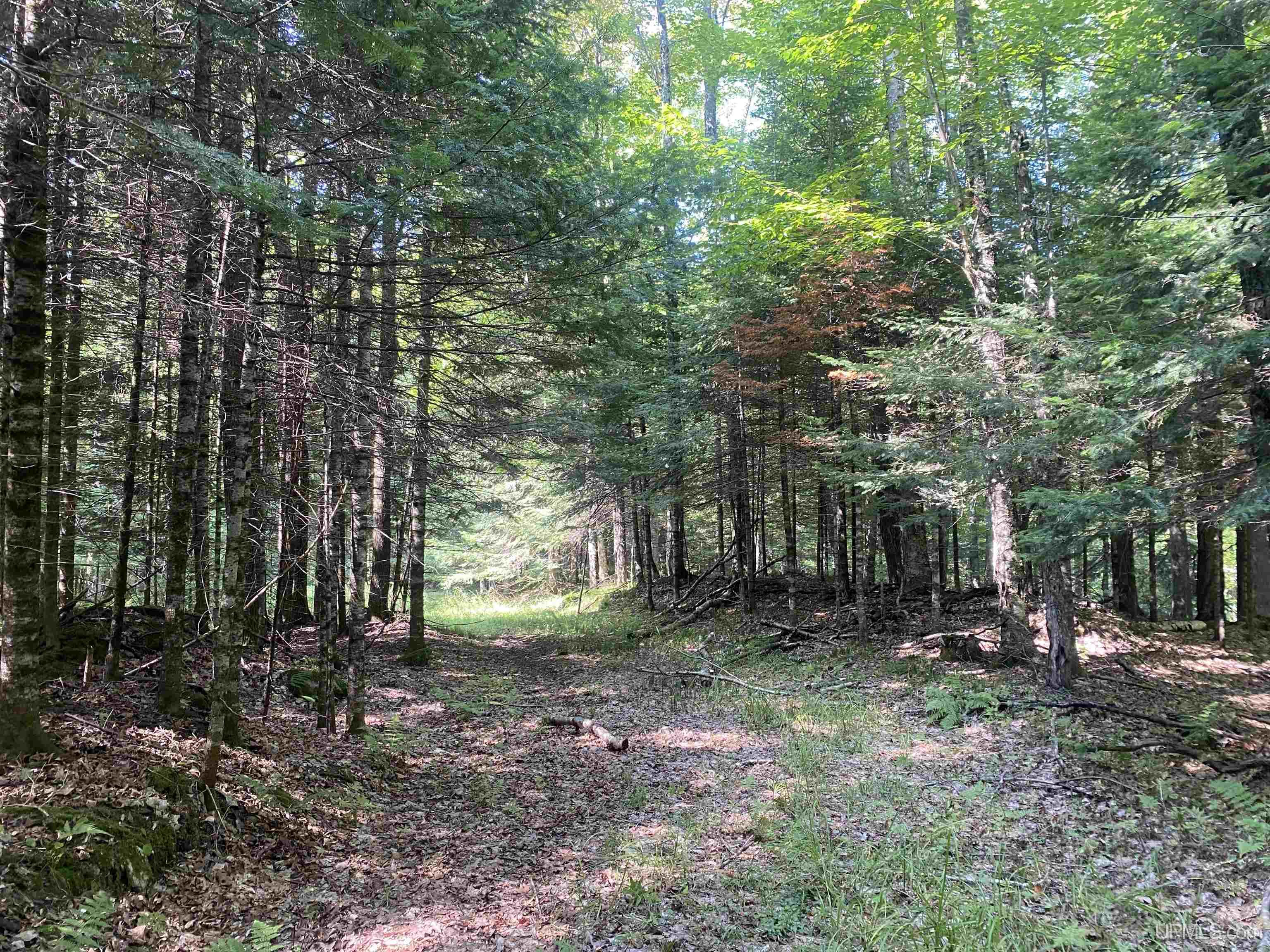 13-14 Grace Lake Road Watersmeet, MI 49969 - Photo 16 of 23
