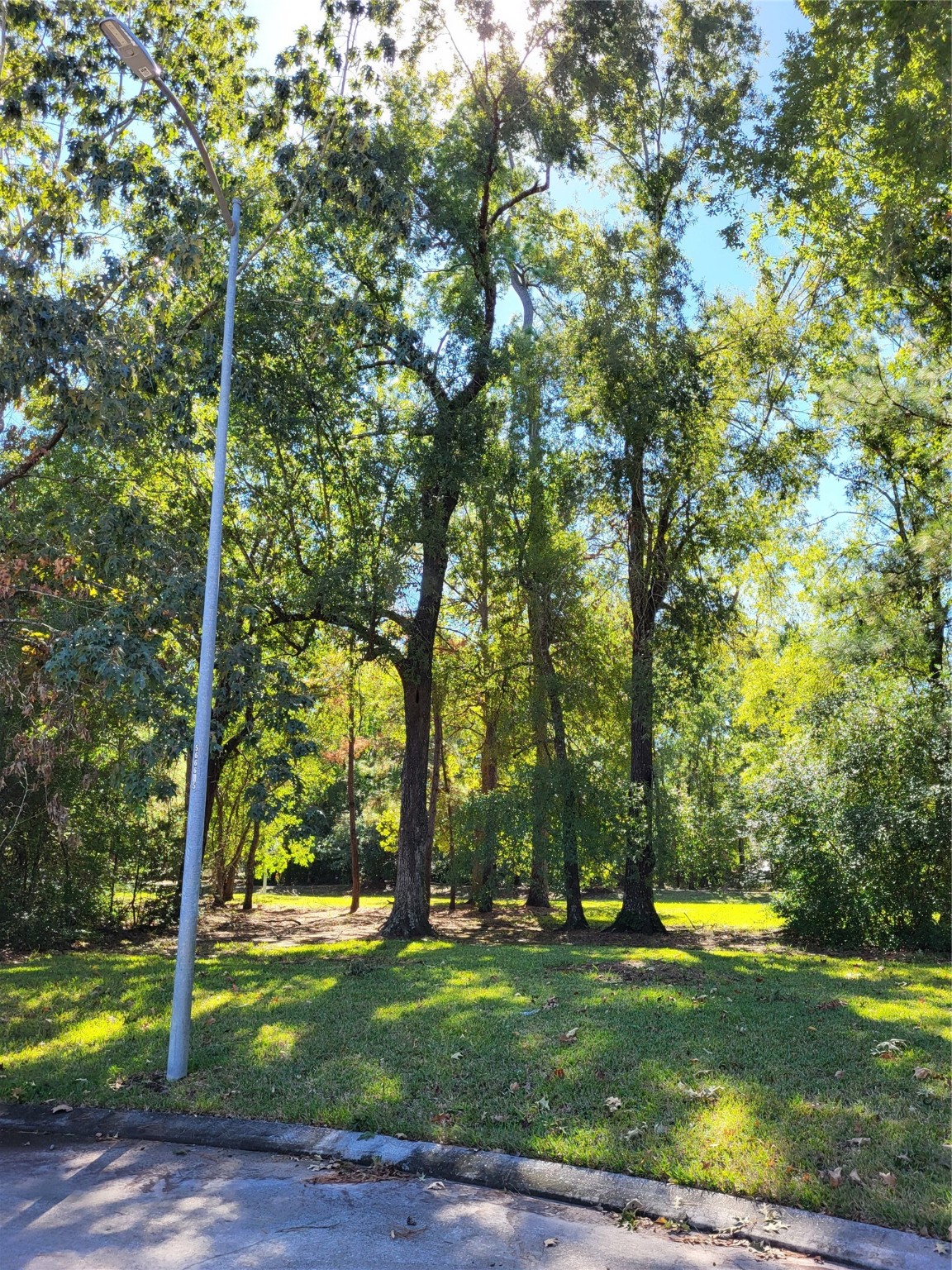 20226 Entrada Court Humble, TX 77346 - Photo 28 of 29 This is the view across the street and along the one side is greenspace. the playground is less than a block away.