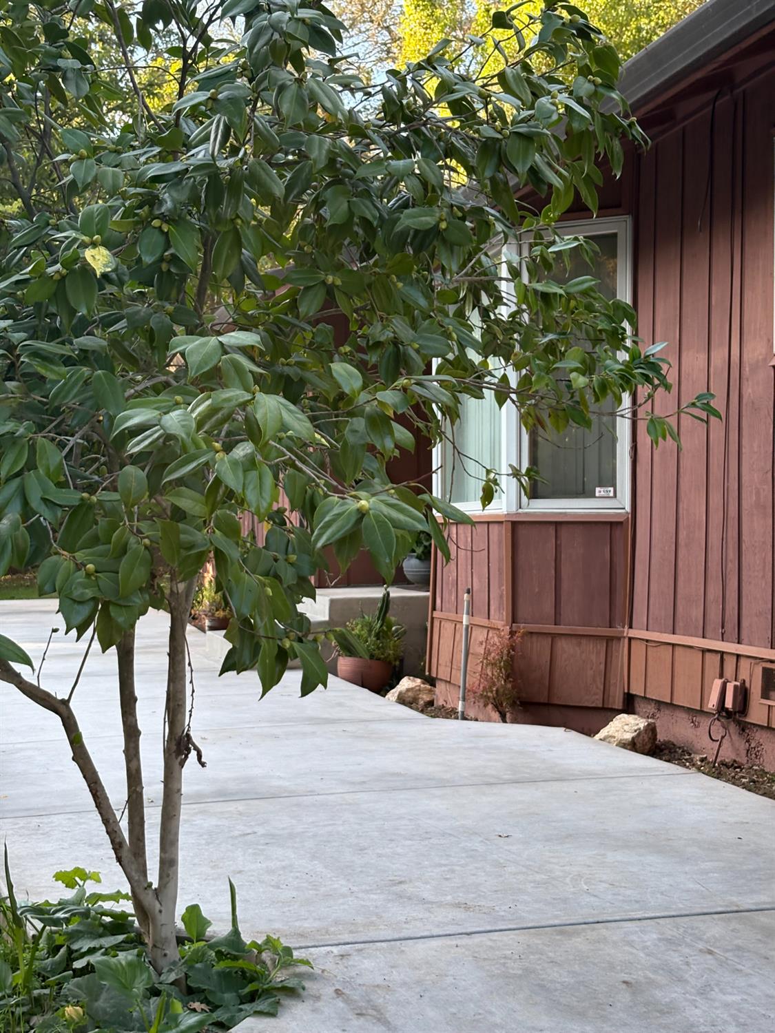 8415 Winding Way Fair Oaks, CA 95628 - Photo 16 of 27 a street view with wooden fence