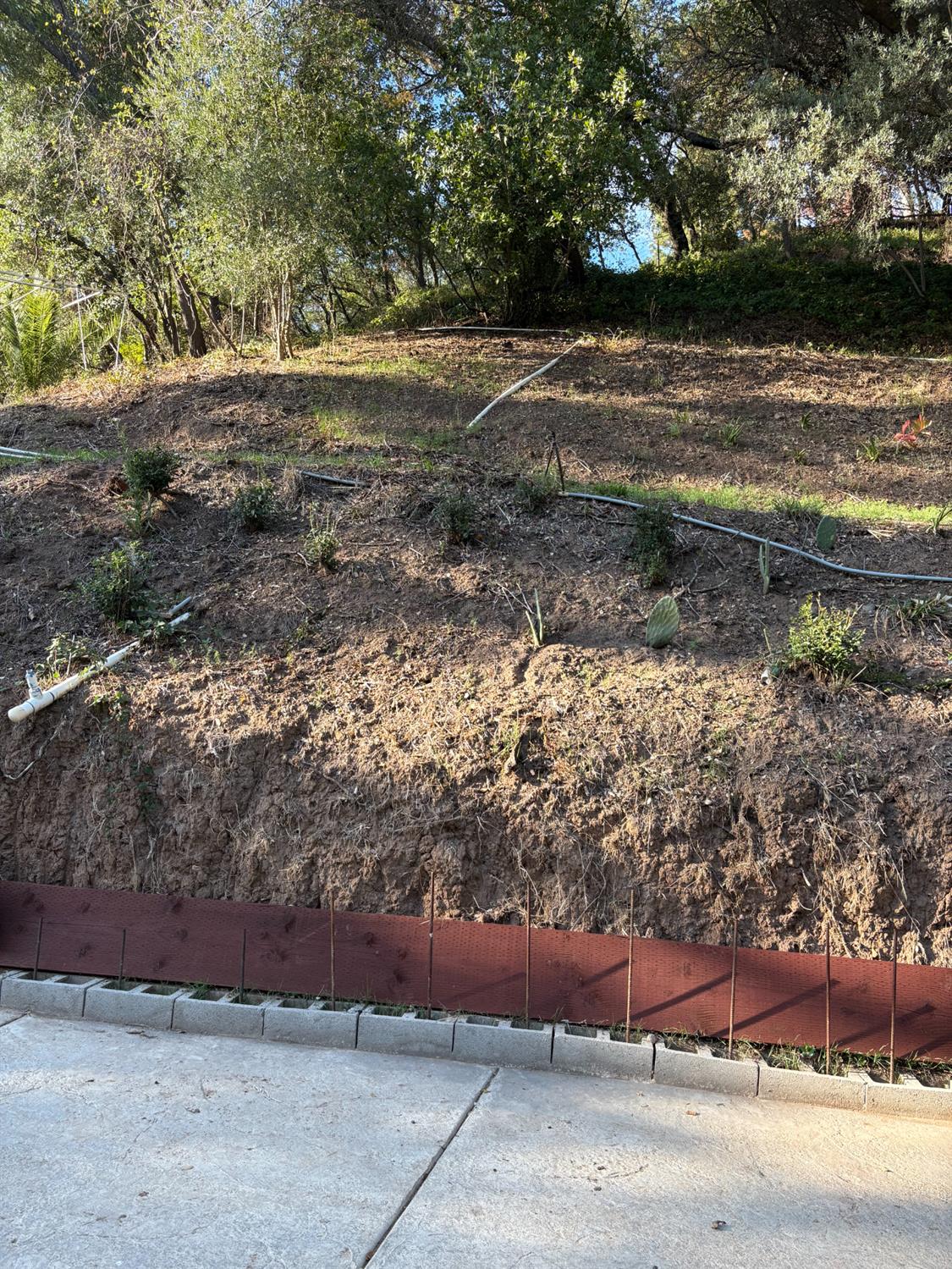 8415 Winding Way Fair Oaks, CA 95628 - Photo 25 of 27 a view of backyard with outdoor space