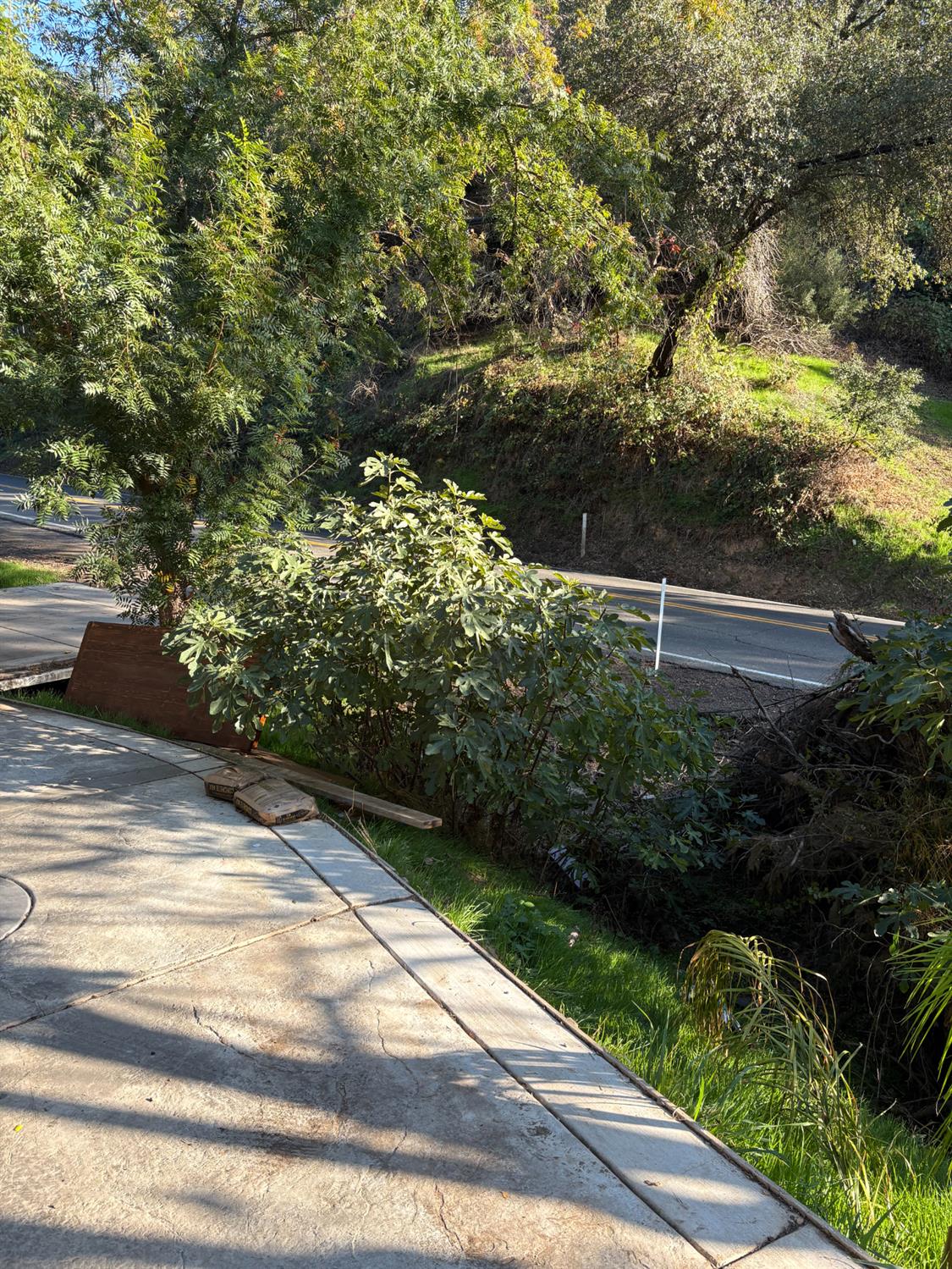 8415 Winding Way Fair Oaks, CA 95628 - Photo 26 of 27 a view of yard with green space