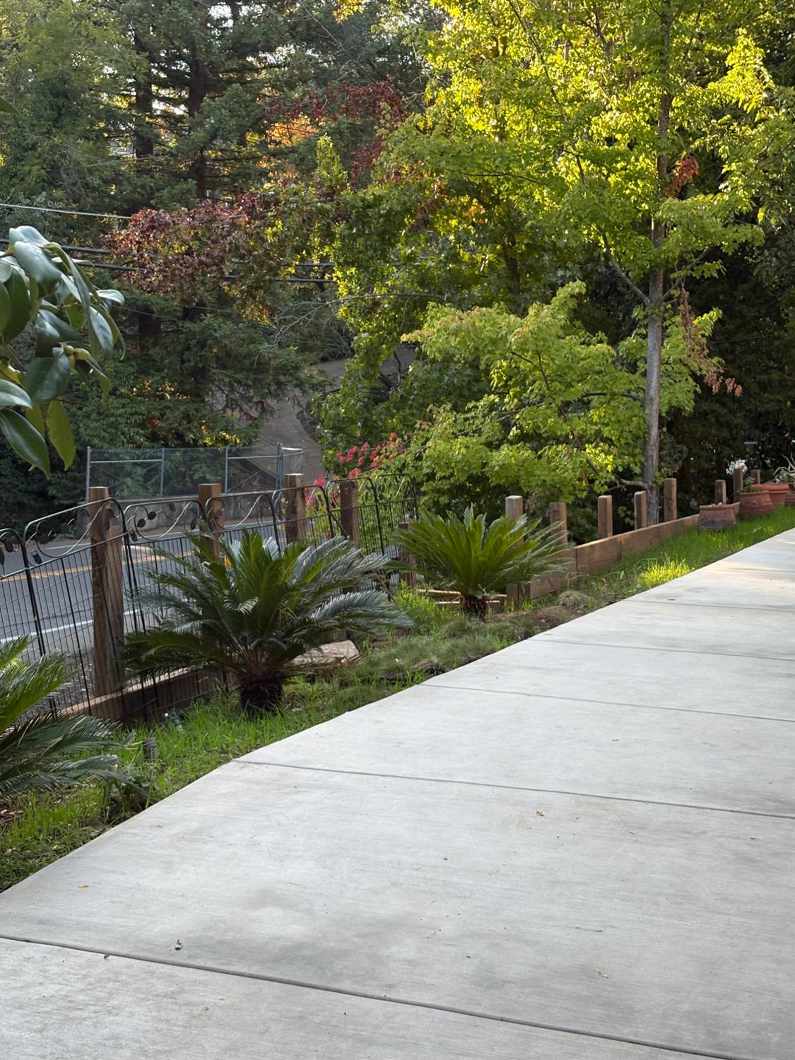 8415 Winding Way Fair Oaks, CA 95628 - Photo 27 of 27 a view of a garden