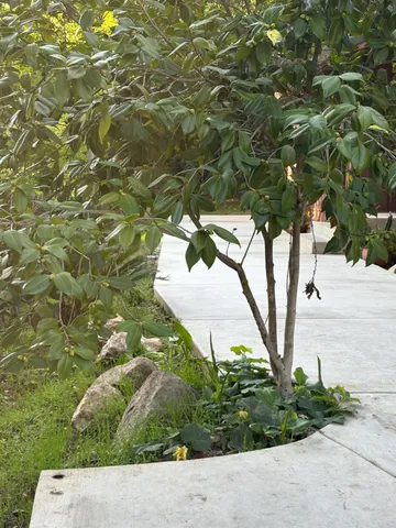 $559,000 | 8415 Winding Way, Fair Oaks, CA 95628