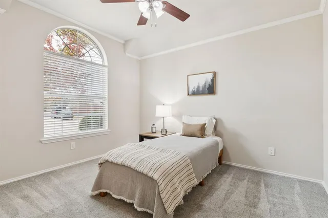 a bedroom with a bed and a window