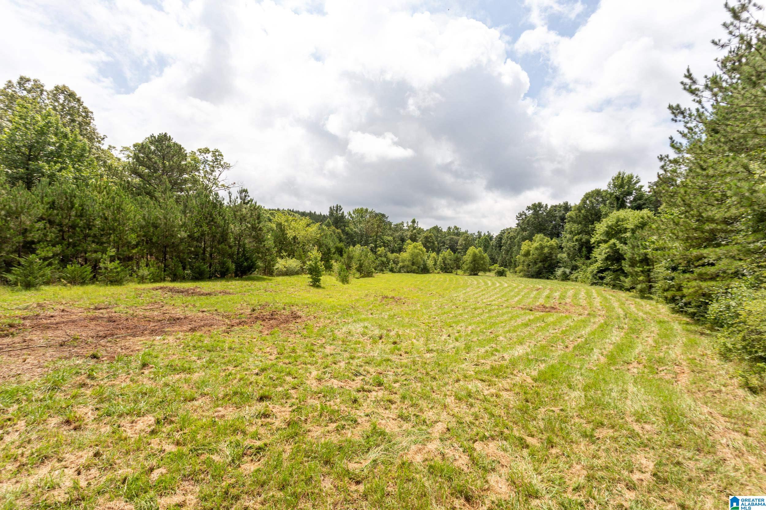 4142 Mudd Street Lincoln, AL 35096 - Photo 32 of 39