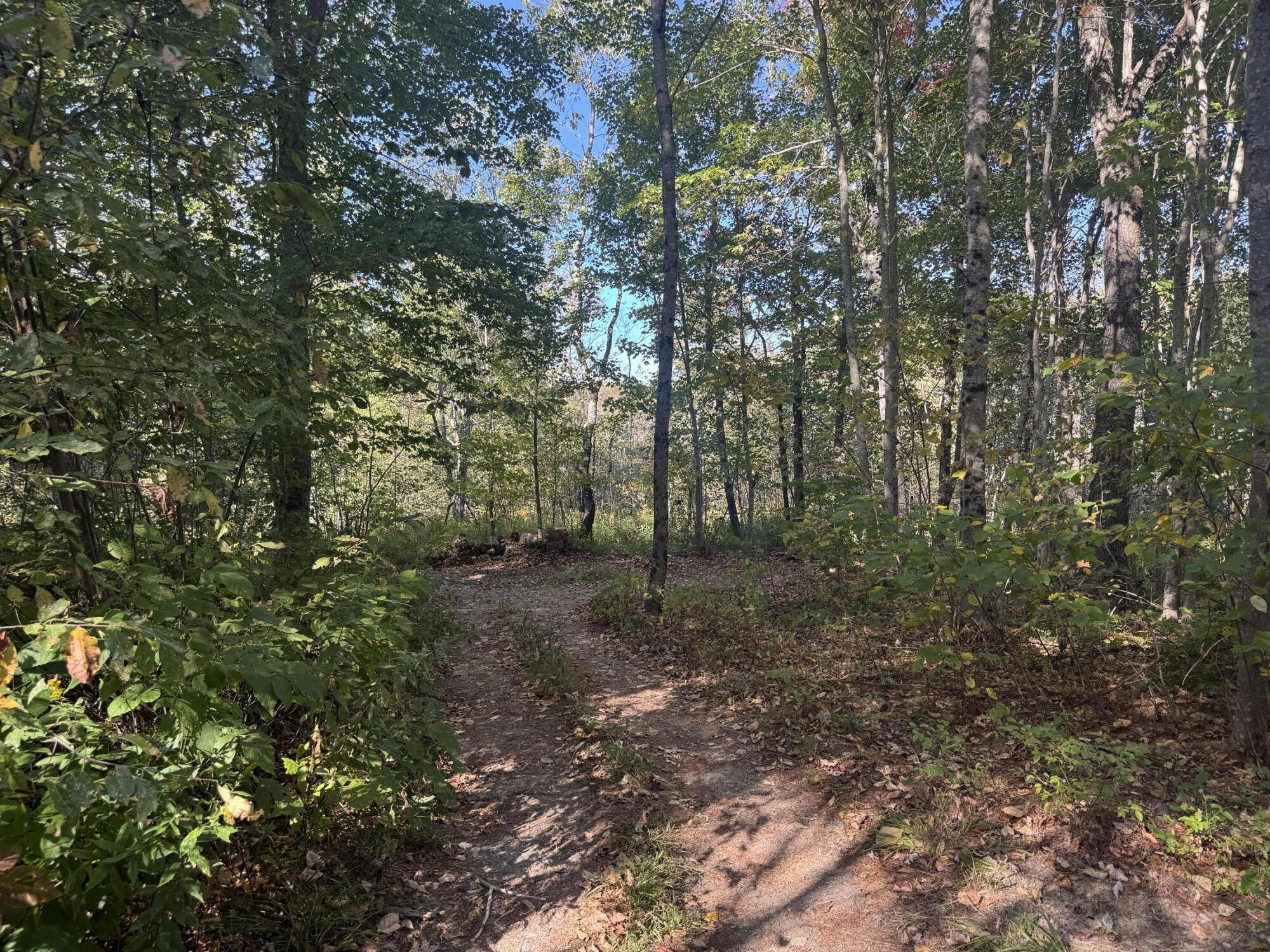 Lot 19-1 Green Valley Road Stockton Springs, ME 04981 - Photo 8 of 10 20250922_192533000_iOS