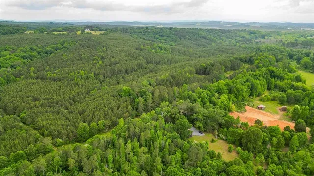 a view of a lush green hillside and a houses